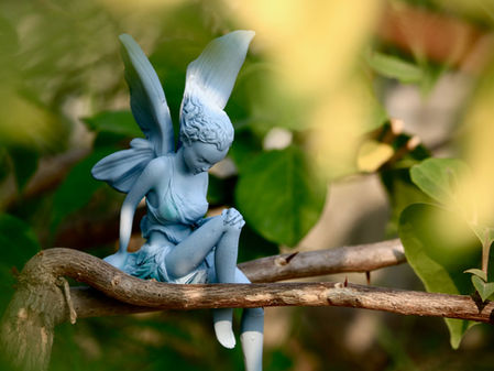 Sing to flower fairies