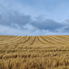 Image by Léon McGregor