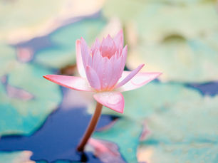 Avec les méditations, je prends contact avec un espace vide en moi