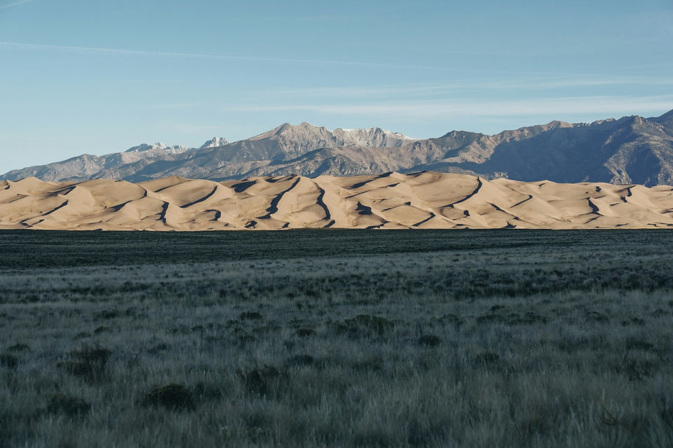 Image by Moriah Wolfe