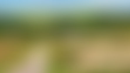 Como a Decisão do TJSP sobre Cláusulas Contratuais Pode Impactar o Setor Agropecuário