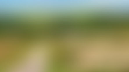 Como a Decisão do TJSP sobre Cláusulas Contratuais Pode Impactar o Setor Agropecuário
