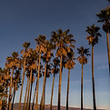 Image by Earl Wilcox