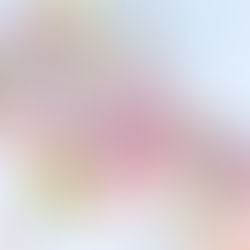 Joe Ann Gipson Rasnake 