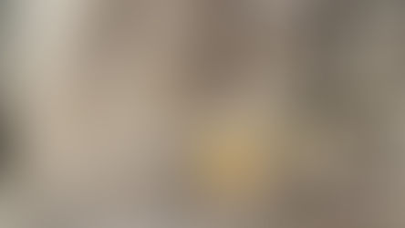 Trockensteinmauern 2026: Gemeinsam erhalten wir wertvolle Lebensräume!