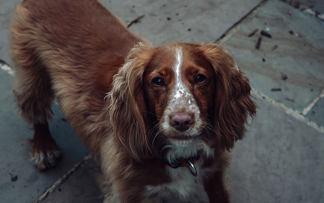 Image by Nathan McDine