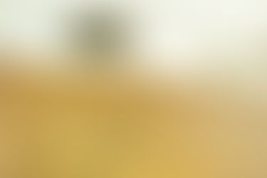 Dancing in a field of flowers....