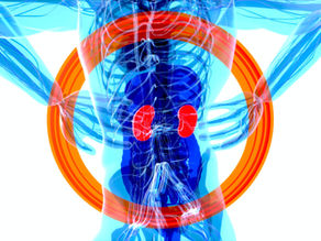 Age and Race Specific Changes in End Stage Kidney Disease Incidence