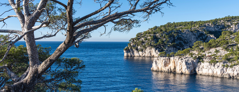 Location paddle la ciotat calanques