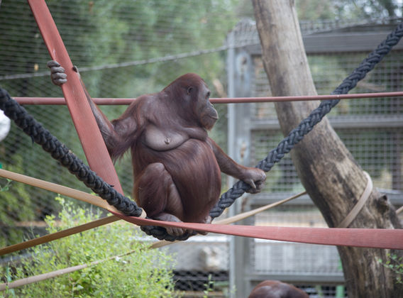 Central Park Zoo