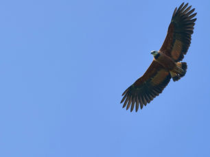 Executor Checklist After Death of a Loved One