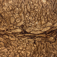 Image by Dan-Cristian Pădureț