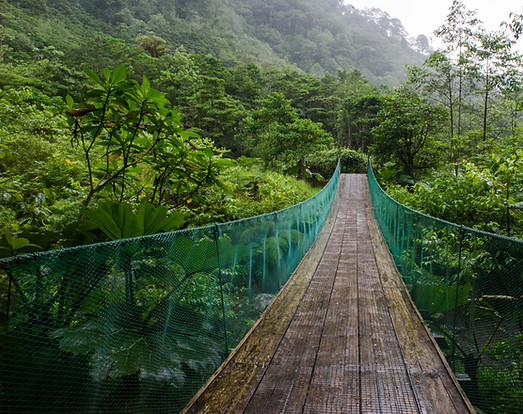 Suspended bridge over deep valley