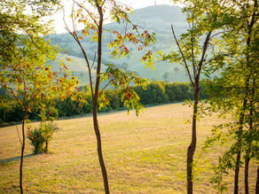 Embracing a Fresh Start in the Knoxville Area