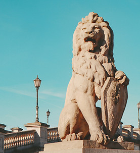 Image by Tayla Kohler