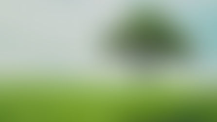 שורשים וצמיחה - ט"ו בשבט כמקור להשראה חינוכית 