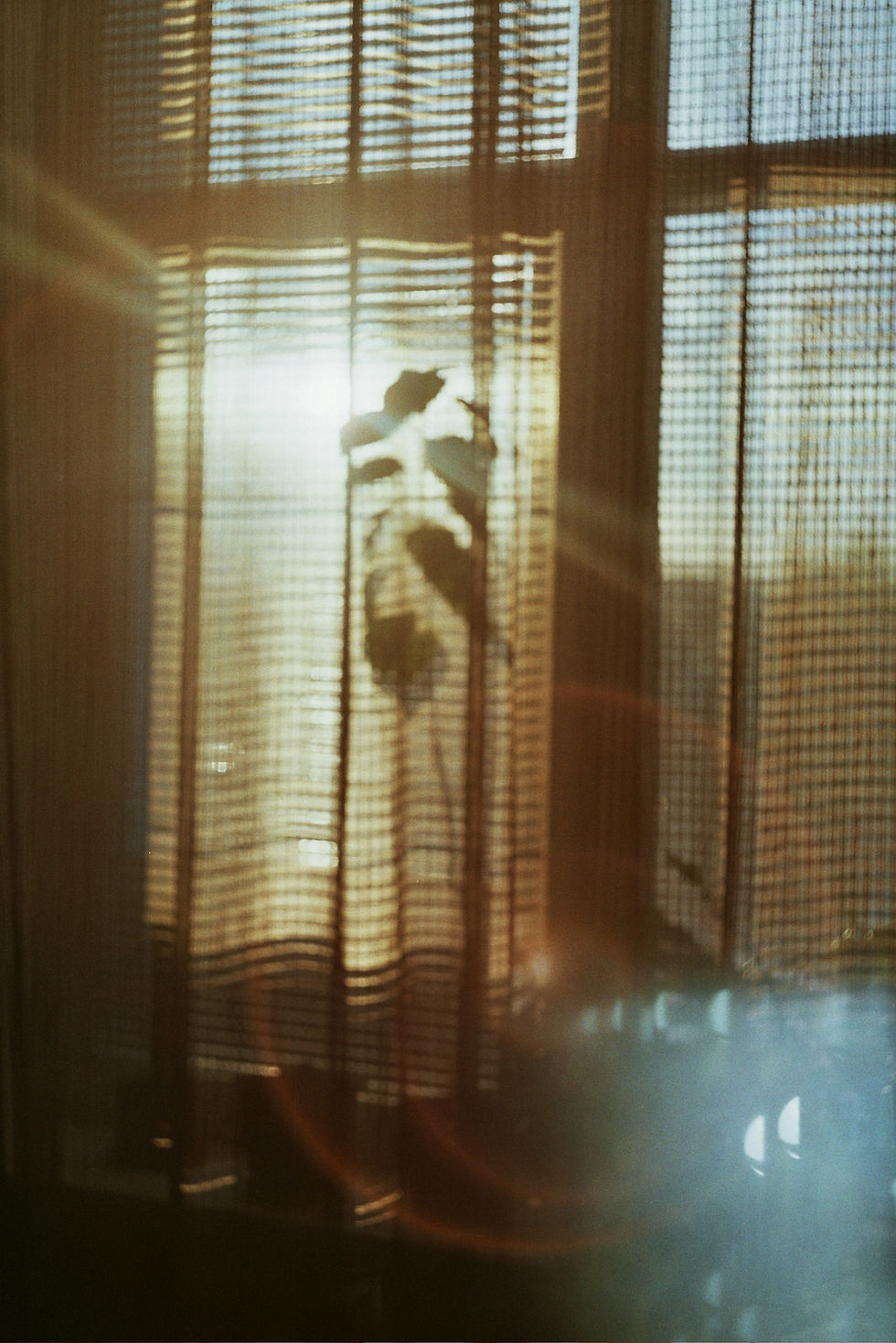 Image by Julia Rekamie