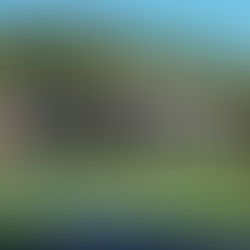 The Ultimate Guide to Driveway Sealing: Protect Your Investment