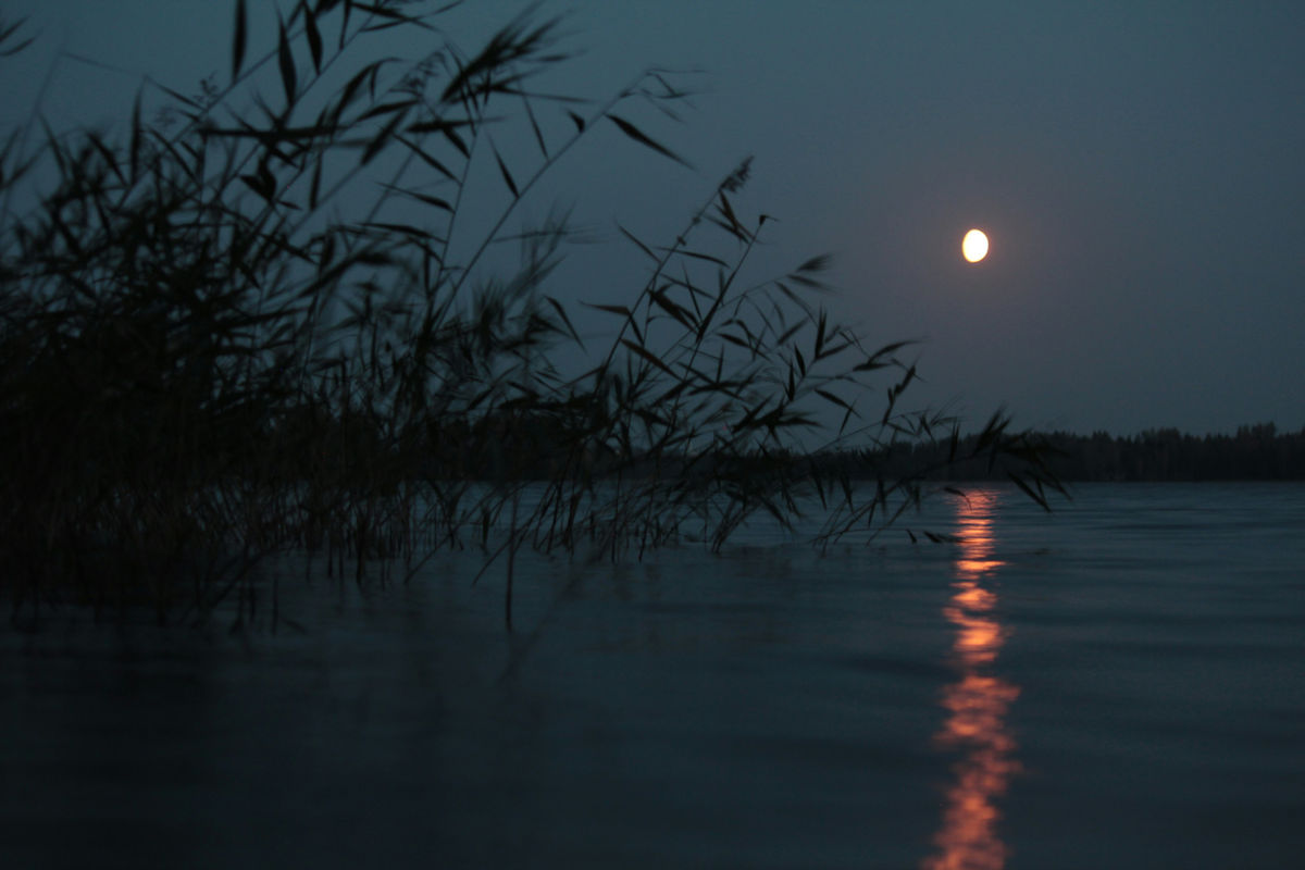 Full Moon Social Evening: Swim, Dip & Sauna