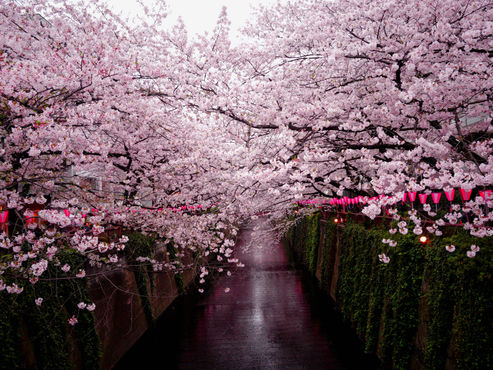 Image by Crystal Kay