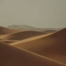 Image de sander traa