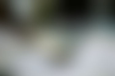 Understanding Product Pricing and Costs in International Trade