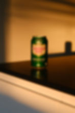 Canada Dry Ginger Ale (special)