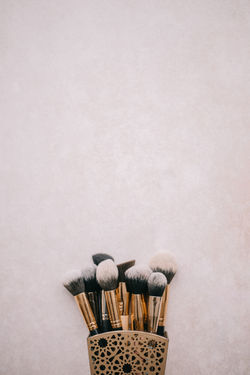Brushes