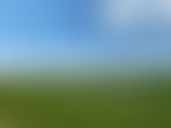 What About the Plains and Prairies?