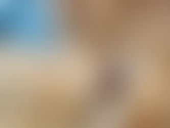 Cómo comprar un cachorro a distancia sin caer en estafas