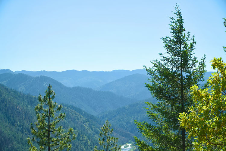 Image by Spencer DeMera