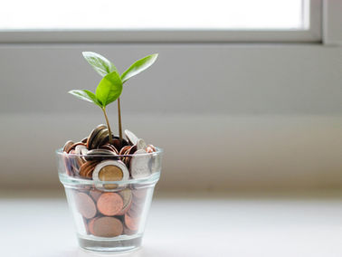 A flower growing out of a cup of coins