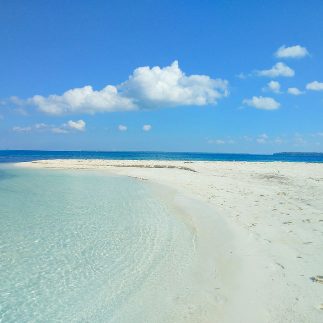 Palawan Expedition by Expedition Palawan Philippines