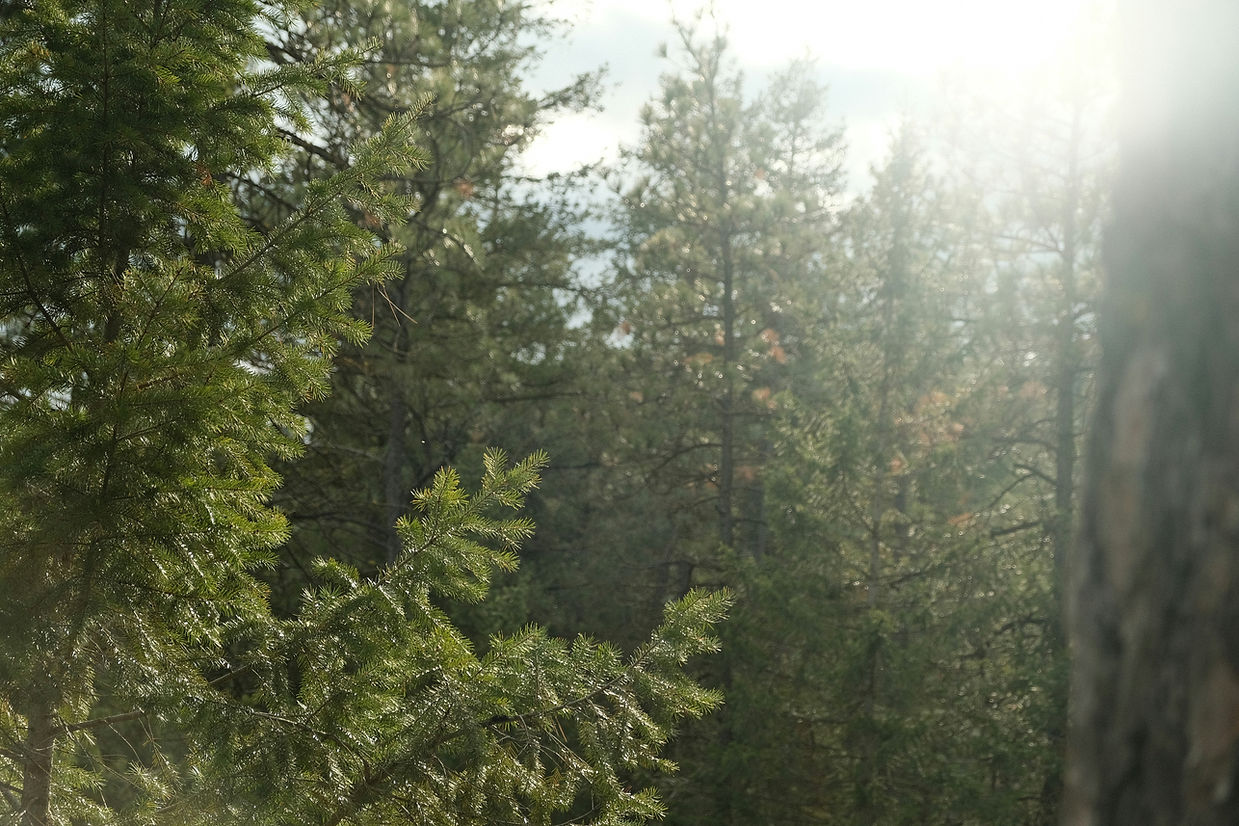 Image by Kokia & Sawyer