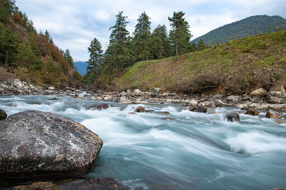 Fast-flowing river through a green valley in Bhutan