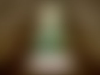 Plot - The Enigma of the Wise Man