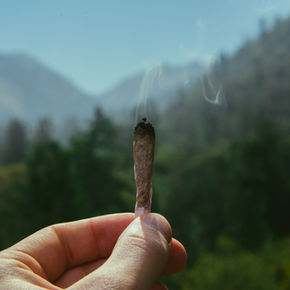 Why are we so shitty to each other in the Cannabis Industry?