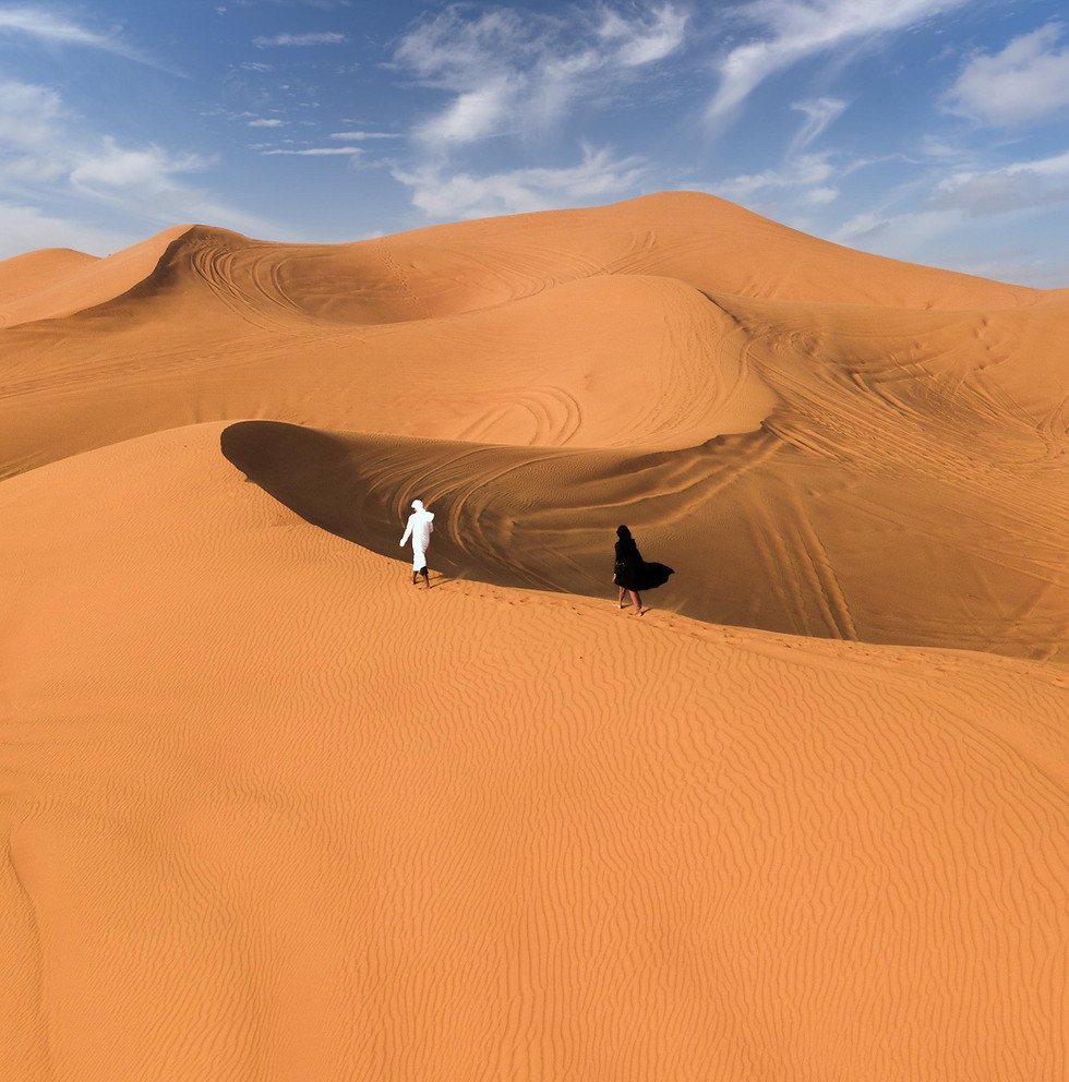 SIG Middle East Investment Opportunities