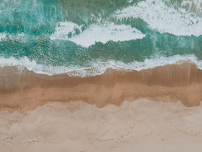 "Environmental Problems in Puerto Rico: Ocean Ecosystem" by Máximo A. Giraud RamÃrez