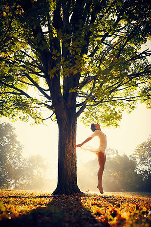 Image by Darius Bashar