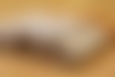 RESILIENCE AND HEART