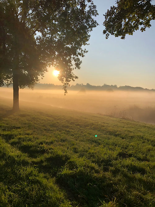 Image by Lieve Ransijn