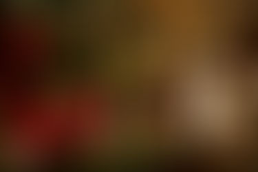 Surviving End of Life Care During the Holidays: Essential Tips and Strategies