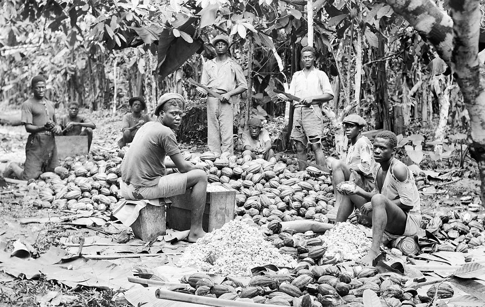 Sacred Cacao and Sacred Tobacco Circle