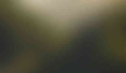 Beautiful Horse Pasture, Switzerland