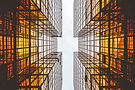 Image by Alex wong