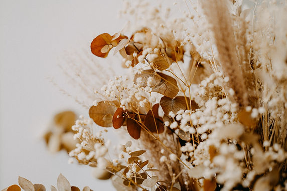 Image de Annie Spratt