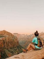 Zion national Park red rock view
