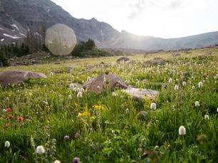 What Regulators Need from Nature Markets—and How We Deliver