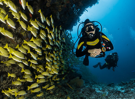 Image by Sebastian Pena Lambarri